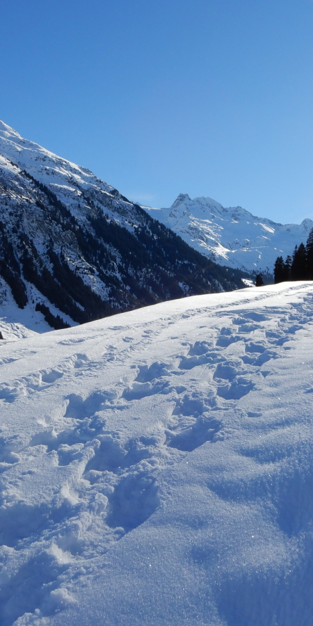 Schneeschuhlaufen Curaglia - Alp Pazzola